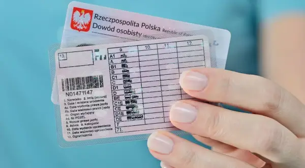 Tabela błędów prawo jazdy z kategoriami pojazdów. Widoczny numer prawa jazdy i dane kierowcy.