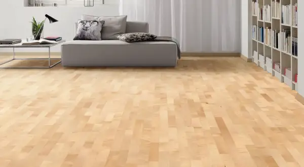 Suelo de parquet en color madera arce, con un sofá gris y estanterías llenas de libros al fondo.