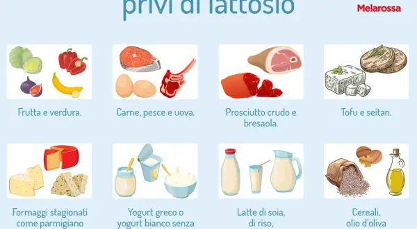 Formaggi stagionati come grana padano, parmigiano, emmenthal e gorgonzola sono naturalmente privi di lattosio.