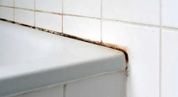 Angolo della doccia con muffa nera e ruggine. Scopri come pulire il nero della doccia per un bagno splendente.