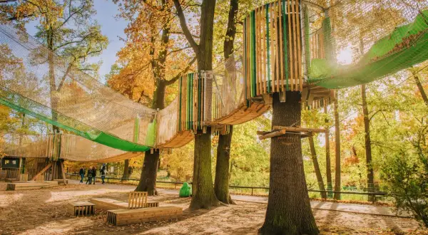 Zoolandia Poznań: Bezpieczny park linowy dla dzieci. Czy warto?