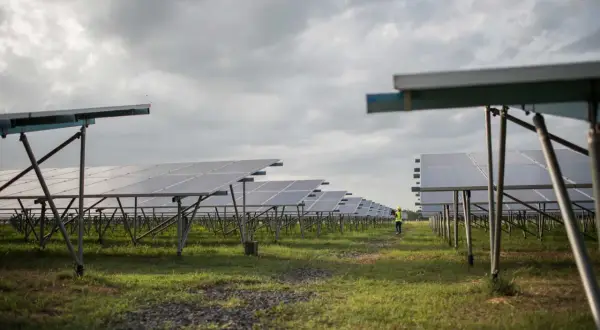 Un campo de paneles solares bajo un cielo nublado. A pesar de la falta de sol directo, las placas solares cargan energía, demostrando su eficiencia.