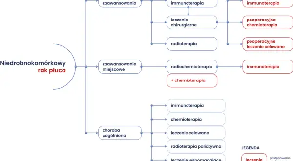 Schemat przedstawia rodzaje chemioterapii i inne terapie w leczeniu niedrobnokomórkowego raka płuca, zależnie od stadium choroby.