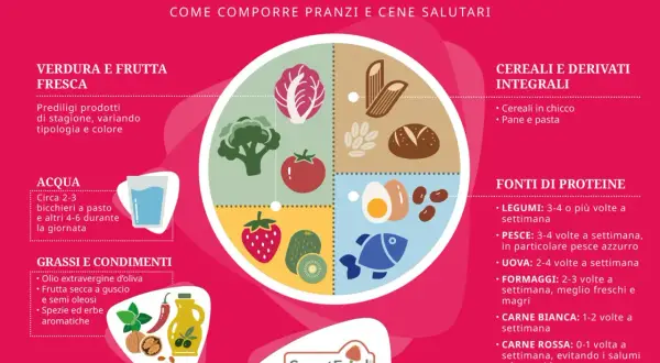 Fonti di proteine magre quali sono? Legumi, pesce, uova, formaggi freschi, carne bianca e rossa con moderazione.