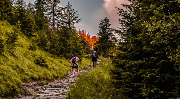 Zwei Wanderer genießen eine malerische Tour im Odenwald. Der steinige Pfad schlängelt sich durch dichte Wälder, während die Sonne die Baumwipfel in warmes Licht taucht.