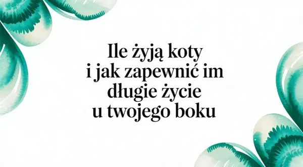 Ile kot ma żyć? Dowiedz się, jak zapewnić mu długie i szczęśliwe życie u Twojego boku.