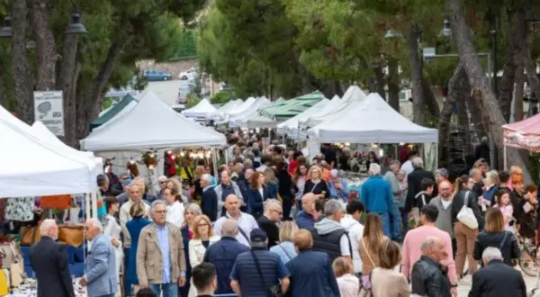 Folla animata al mercato di Porto San Giorgio, bancarelle colorate sotto gli alberi, un'atmosfera vivace tra venditori e visitatori.