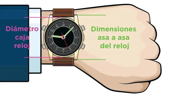 Ilustración muestra cómo se mide la caja de un reloj, indicando el diámetro y las dimensiones de asa a asa.