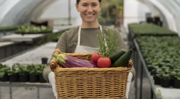 Une opératrice certiphyto souriante tient un panier rempli de légumes frais : aubergine, tomates, concombres et romarin, dans une serre.