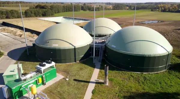 Sprzedaż biomasy do elektrowni 2026: Ile zarobisz i na jakich warunkach?