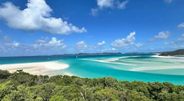 Widok na Whitehaven Beach z góry: turkusowa woda, biały piasek i zieleń.