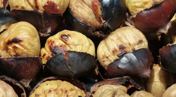 Castañas asadas en microondas, con la piel oscura y la pulpa dorada y tierna, listas para disfrutar.