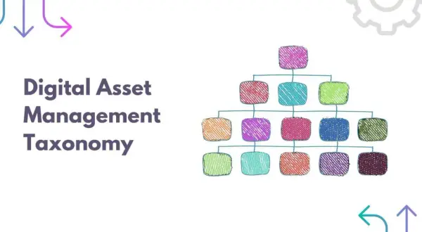 Digital Asset Management Taxonomy visualized as a colorful, hierarchical chart, offering dam taxonomy examples.