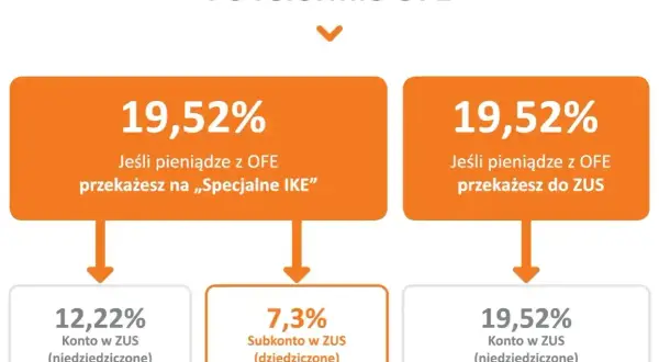 Schemat porównujący podział środków z OFE po reformie: na "Specjalne IKE" lub do ZUS, z podziałem na konto i subkonto w ZUS.