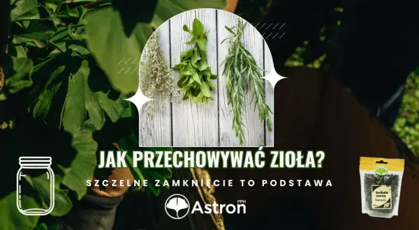 Zioła wiszące do wysuszenia i paczka herbaty. Dowiedz się, ile mogą stać zaparzone zioła, gdy są szczelnie zamknięte.
