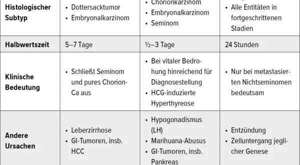 Übersichtliche tumormarker-werte tabelle mit AFP, βHCG und LDH. Zeigt Subtypen, Halbwertszeit, klinische Bedeutung und andere Ursachen.