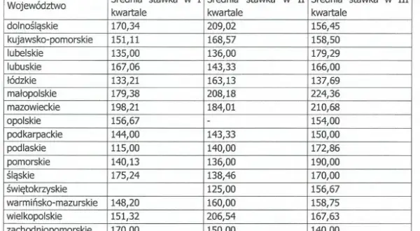 Ile zarabia lekarz rodzinny w Polsce? Zarobki 2026, stawki, koszty