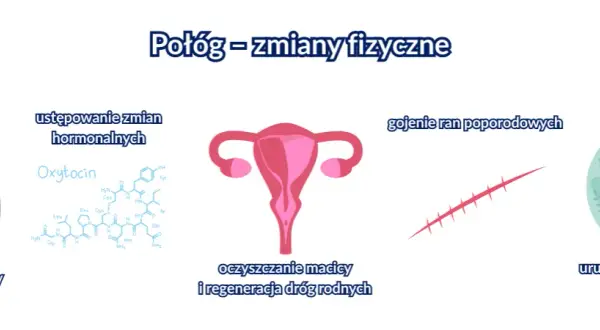 Kiedy oddać krew po porodzie? 6 miesięcy to początek sprawdź!