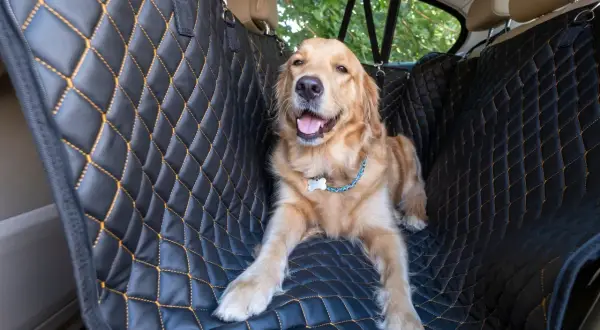 Un adorable chiot Golden Retriever profite du confort d'une housse de siège matelassée pour un transport en voiture en toute sécurité.