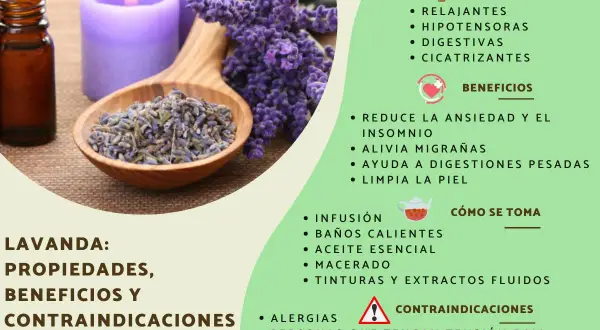 Aceite de lavanda relajante, flores secas en cuchara de madera, velas moradas y lista de propiedades y beneficios.