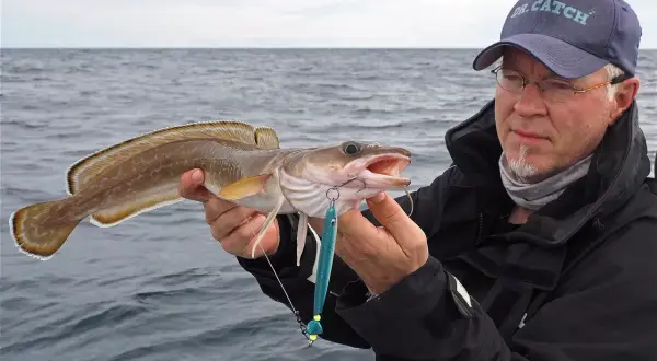 Ein Angler präsentiert stolz einen frisch gefangenen Lengfisch aus Norwegen. Der Fisch hat einen blauen Kunstköder im Maul.