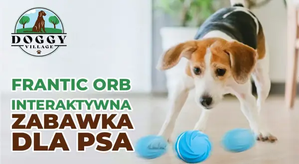 Inteligentna uciekająca zabawka dla psa i kota – radość i ruch w zabawie