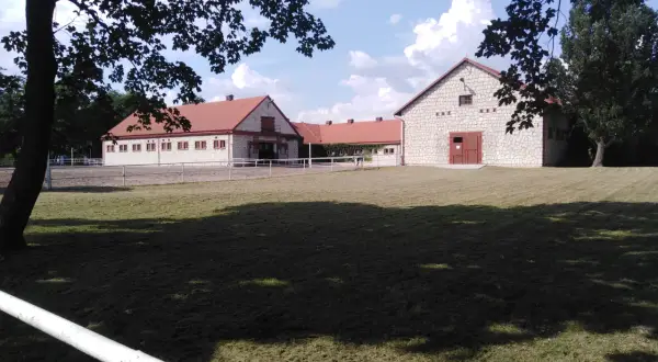 Stadniny koni arabskich w Polsce - historie, osiągnięcia i tradycje