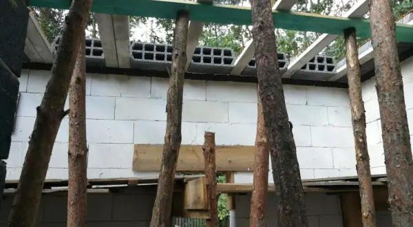 Budowa domu w toku. Drewniany podciąg podtrzymuje konstrukcję stropu nad ścianą z białych pustaków.