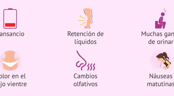 Síntomas comunes de 4 semanas de embarazo: cansancio, retención de líquidos, ganas de orinar, dolor bajo vientre, cambios olfativos y náuseas matutinas.