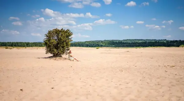 Kobieta odpoczywa w cieniu samotnego drzewa na Pustyni Błędowskiej.