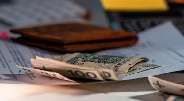Portfel, dokumenty i polskie banknoty. Zastanawiasz się, ile można dorobić na krusie?