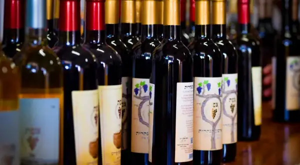 Rząd butelek wina, w tym wino regionalne, z etykietami w języku hebrajskim i grafiką winogron.