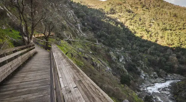 Senderos de madera serpentean por la ladera verde junto a un río. Fotos de los pasadizos del Paiva.