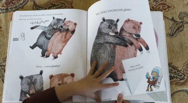 Jak opisać pluszowego misia? Dwa niedźwiedzie, jeden szary, drugi rudy, przytulają się. Czy są głodne?