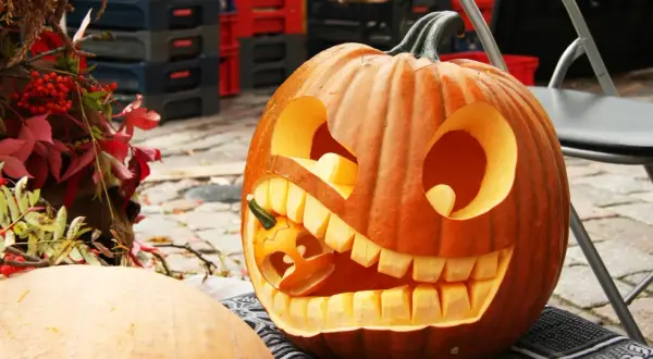 Rzeźby z dyni: Jak stworzyć zachwycające dekoracje na Halloween
