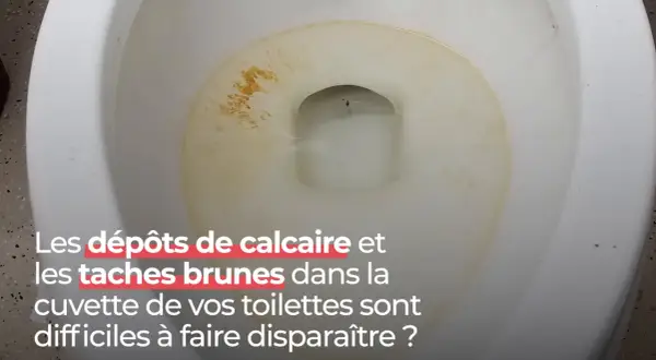 Dépôts marron au fond des toilettes, un problème tenace.
