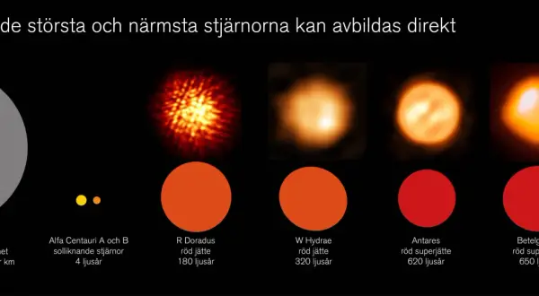 Jämförelse av stjärnor och dvärgplaneten Pluto. Vår egen sol är en medelstor stjärna, mindre än de flesta röda jättar och superjättar som visas.