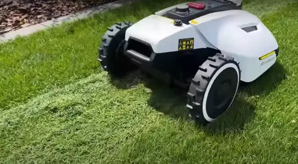 Robot koszący wykonuje mulczowanie trawy, pozostawiając drobno skoszoną trawę jako naturalny nawóz.