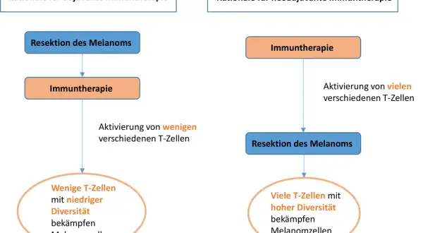 Schema vergleicht adjuvante und neoadjuvante Immuntherapie bei Melanomen. Adjuvant: Resektion, dann Immuntherapie, aktiviert wenige T-Zellen.