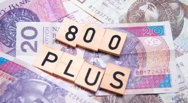 Drewniane klocki z napisami "800" i "PLUS" na polskich banknotach.