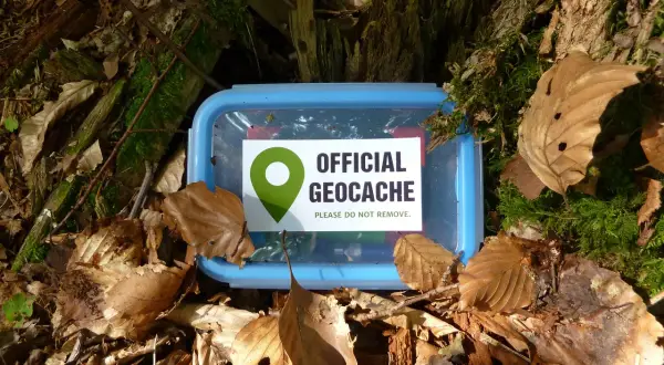 Ein blauer Geocache-Behälter liegt im Wald bei gc Georghausen, bedeckt mit Laub und Moos.