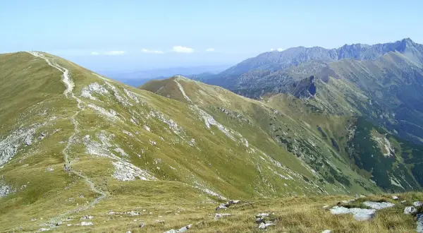 Widok na pasmo górskie z zielonymi zboczami i kamienistym szlakiem. W oddali widać kolejne, niebieskawe szczyty. To piękne Czerwone Wierchy.