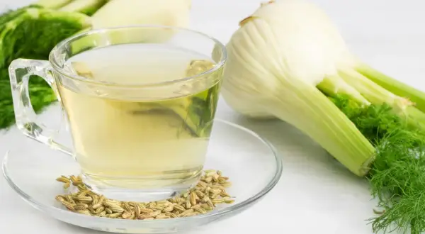 Una tazza di tisana al finocchio, semi di finocchio e bulbi freschi su uno sfondo bianco.