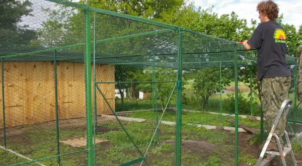 Osoba na drabinie buduje zieloną wolierę dla gołębi z drewnianą ścianą.