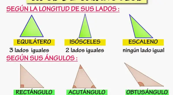 Ilustración de tipos de triángulos: equilátero, isósceles, escaleno (según lados) y rectángulo, acutángulo, obtusángulo (según ángulos).