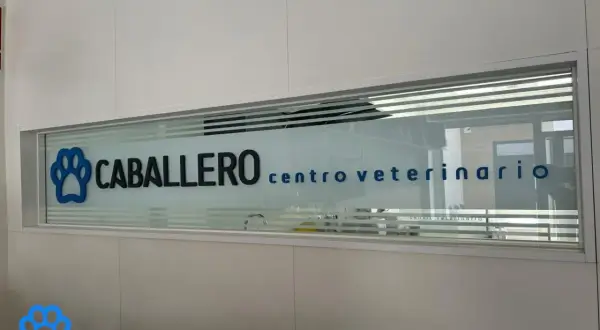 Clínica veterinaria Caballero: servicios, opiniones y ubicaciones detalladas