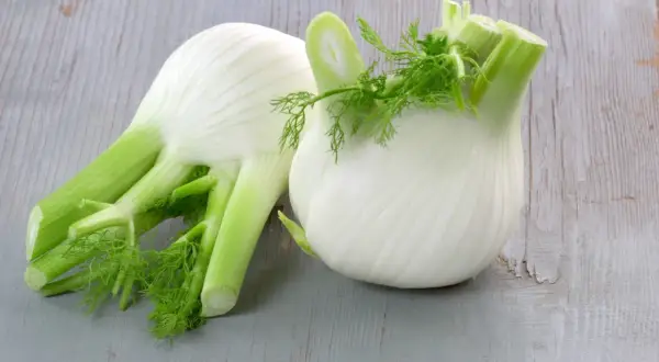 Welches Gewürz passt zu Fenchel? So schmeckt er am besten!