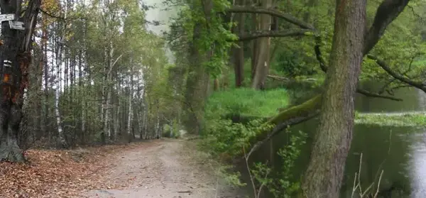 Nowy Duninów atrakcje - odkryj nieznane skarby tej miejscowości