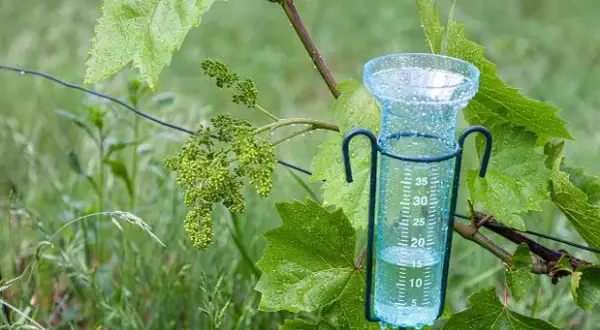 Drugie życie butelki: Wiatromierz DIY krok po kroku