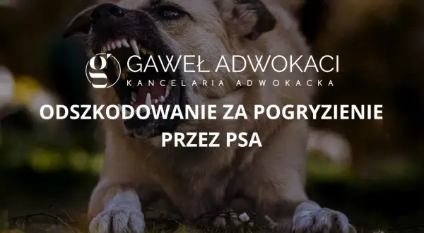 Agresywny pies z kłami na wierzchu. Tekst: "Odszkodowanie za pogryzienie przez psa".